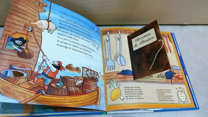 📚 Livre Kididoc : Pirates à bord ! - photo numéro 3
