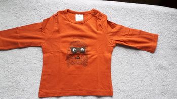 Tee shirt manches longues 9 mois