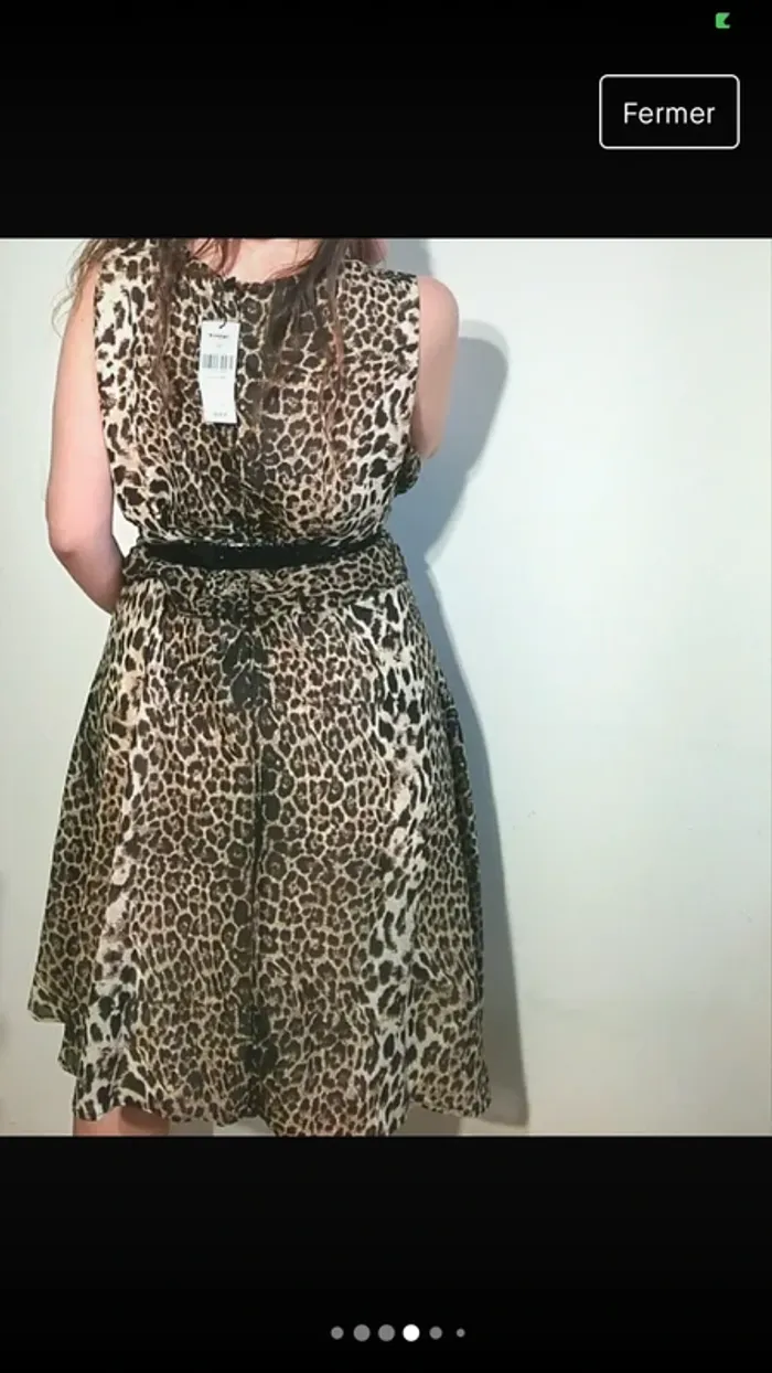 Jolie robe - photo numéro 2