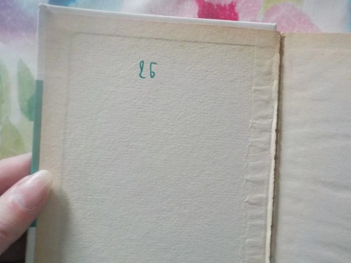 2 bibliothèque rose La Belle au bois dormant et L'Apprentie sorcière - photo numéro 9