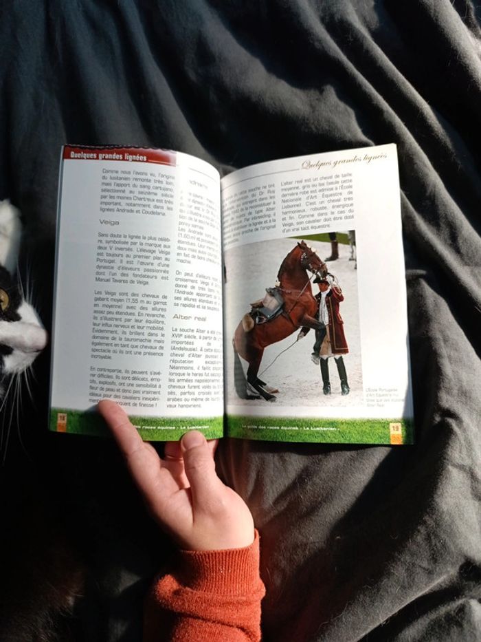 Livre lusitanien - photo numéro 3