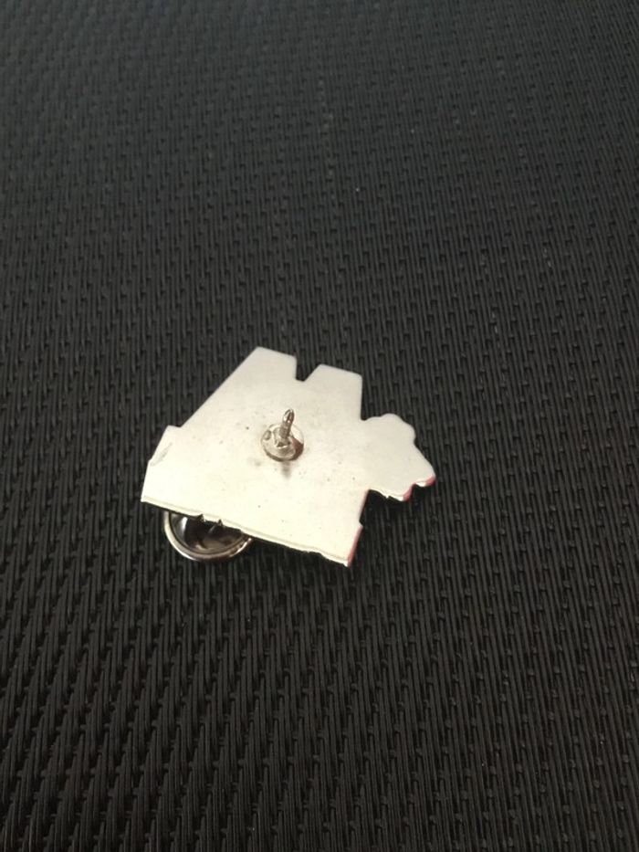 Pin’s LC Waikiki vintage singe - photo numéro 4