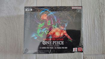 Display One Piece OP-06