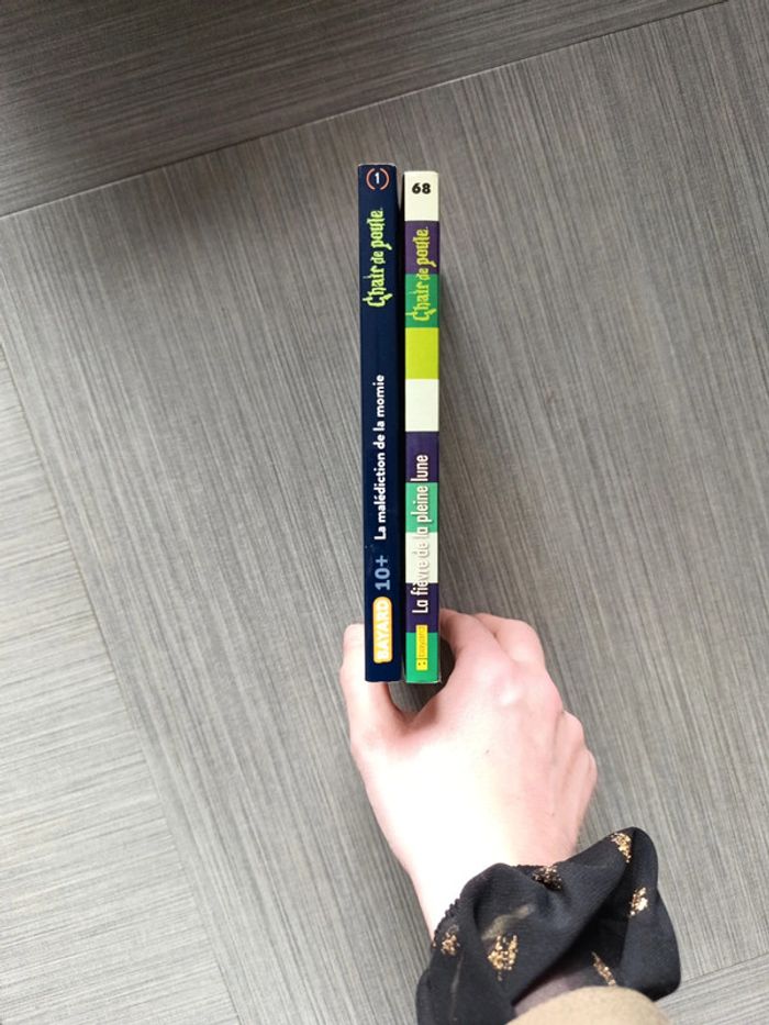 Livre Chair de poule - photo numéro 4