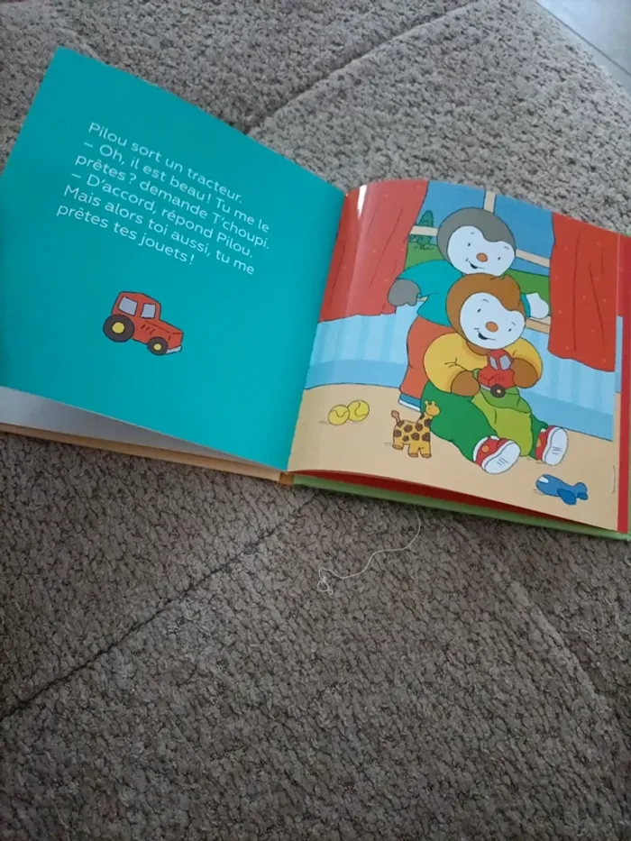 Livre T'choupi ne veut pas prêter - photo numéro 14