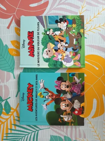 Lot livre Disney Mickey Minnie très bon état
