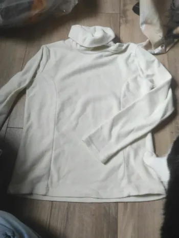 Pull polaire