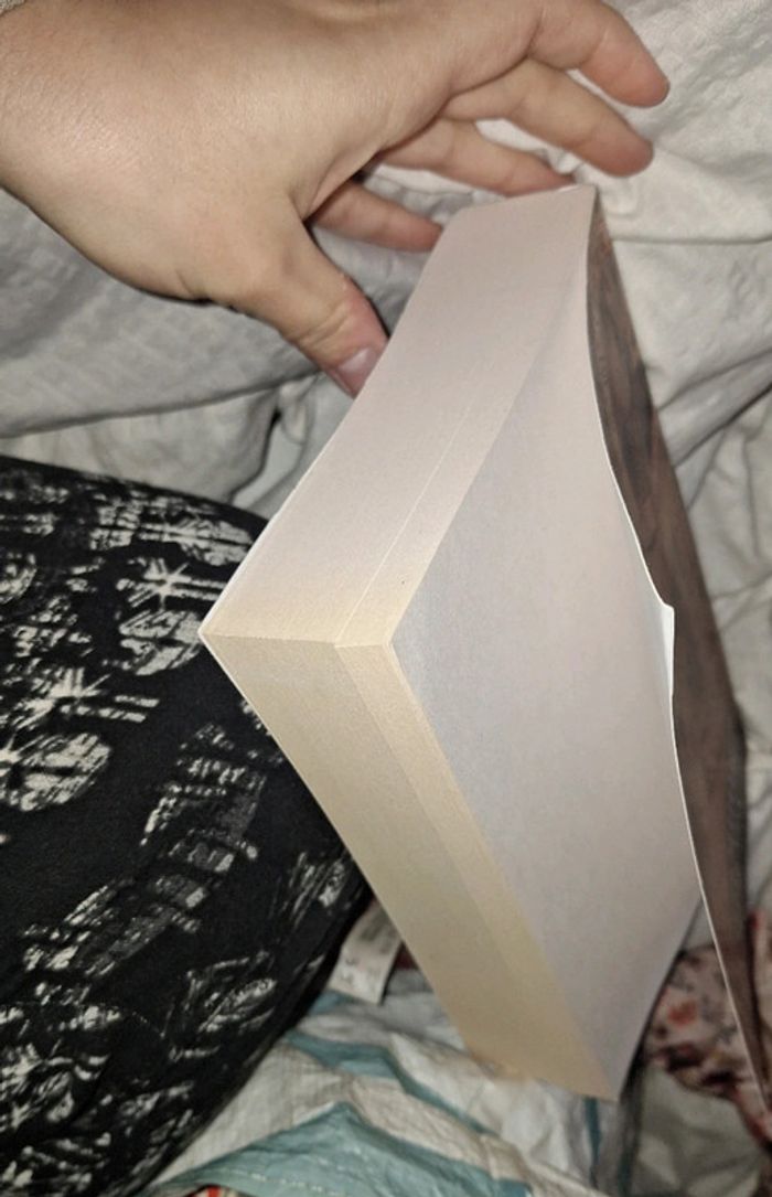 Livre vent d'histoire - photo numéro 5