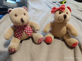 Le couple de petits oursons