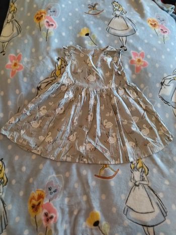 Robe cygne 2/3 ans