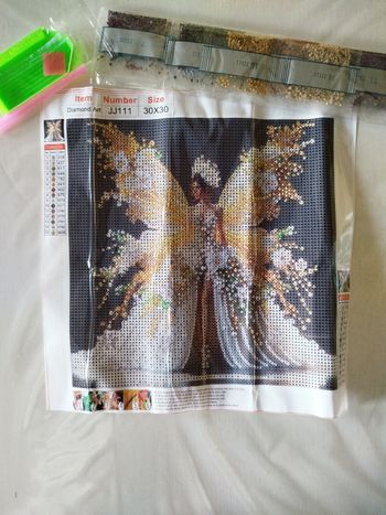 #A095 Diamond painting princesse aux ailes papillon 