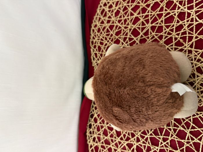 Peluche TORTUE beige vert marron - Althans club - photo numéro 3
