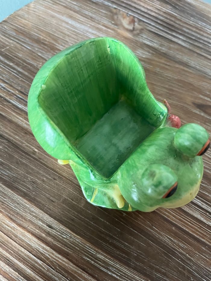 Grenouille 🐸 - photo numéro 6