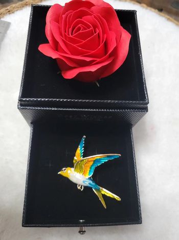 Broche l oiseau 🐦 dans les airs.