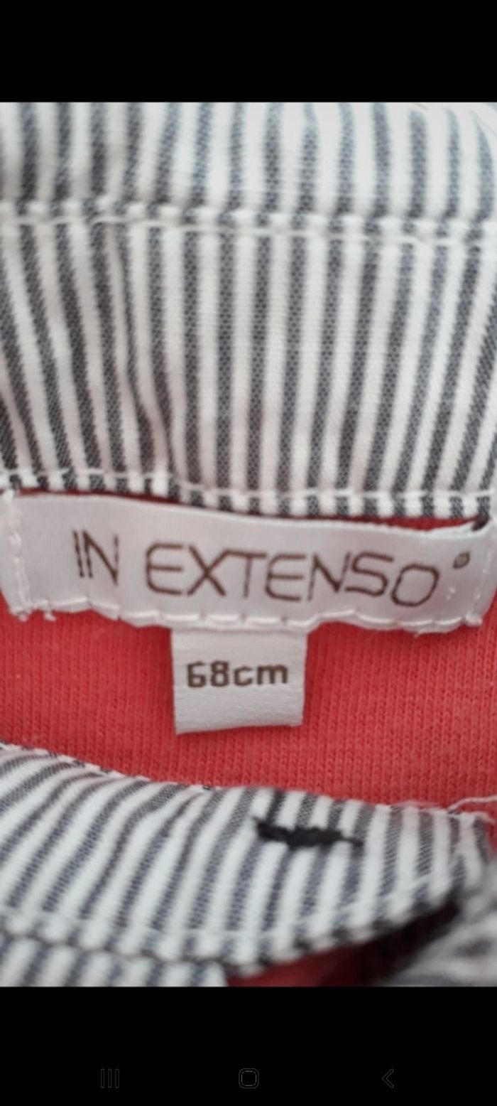 Polo corail - photo numéro 3