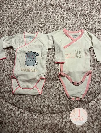 Lot 2 body