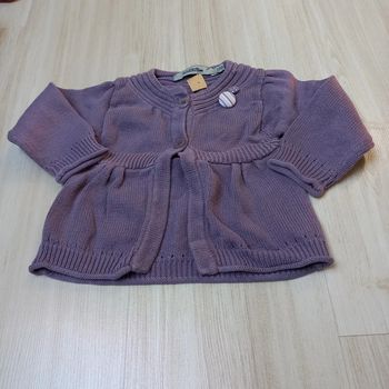 Gilet violet