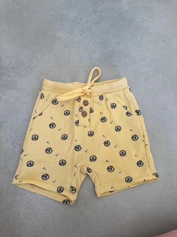 Short lion