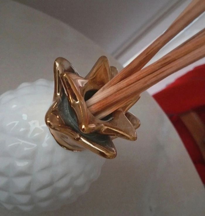 Diffuseur + 5 bâtons maison du monde - photo numéro 2