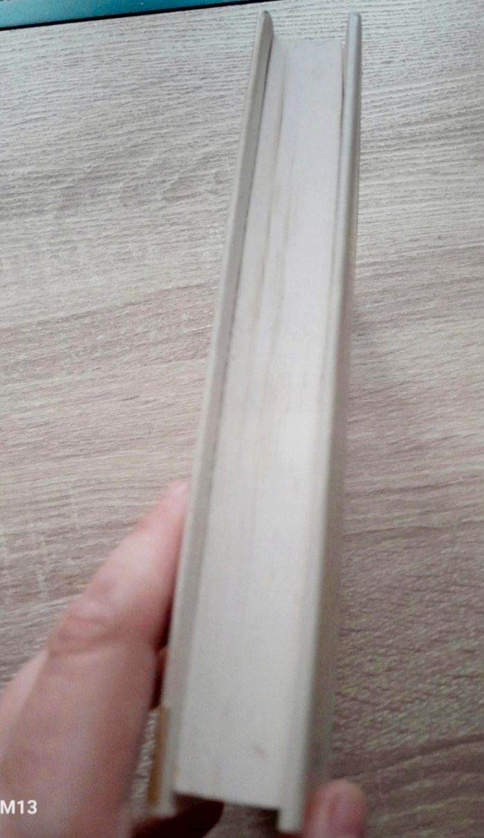 Mon enfant de Berlin Anne Wiazemsky - photo numéro 3