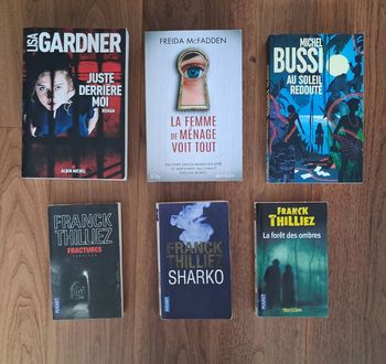 Lot de 6 Thrillers dont La femme de ménage qui voit tout 