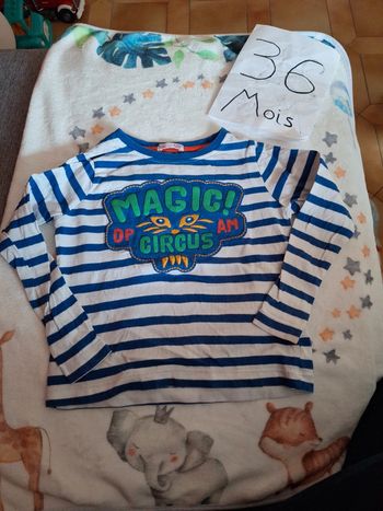 Tee shirt magic circus