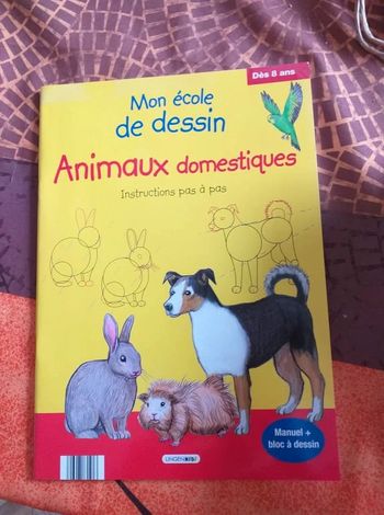 livre mon ecole de dessin