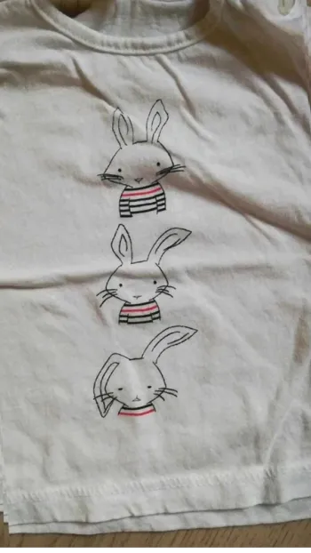 T  shirt lapin