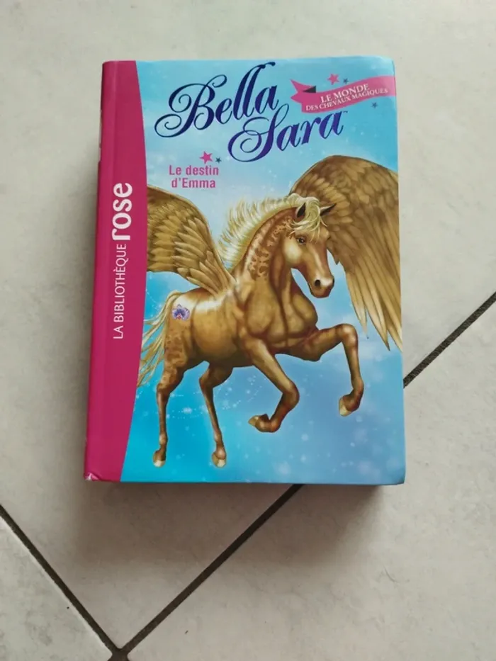 Livres divers Bibliothèque Rose - photo numéro 2