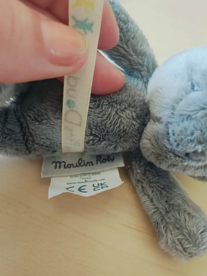 Petit ours gris - photo numéro 7