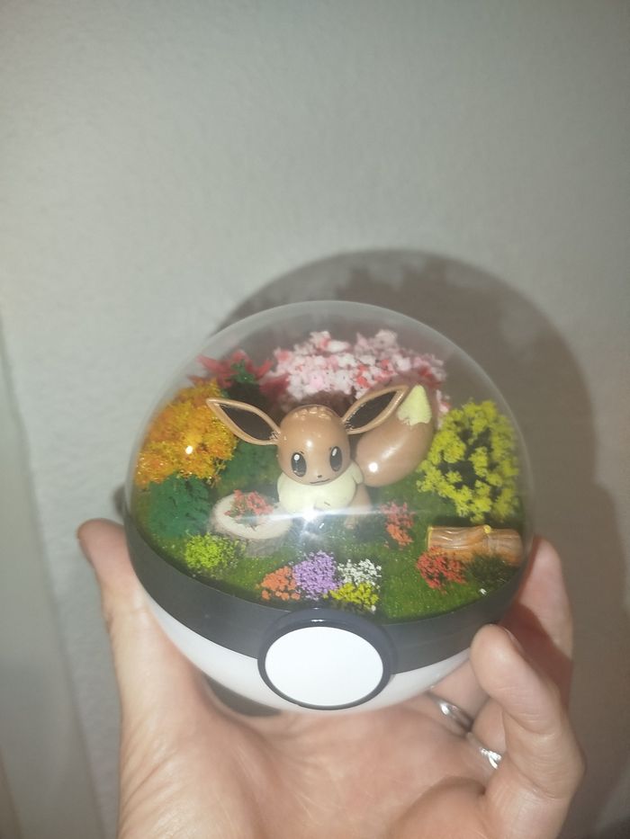 Pokéball Evoli - photo numéro 2