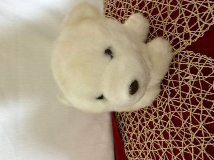 Ours polaire blanc en peluche - photo numéro 3