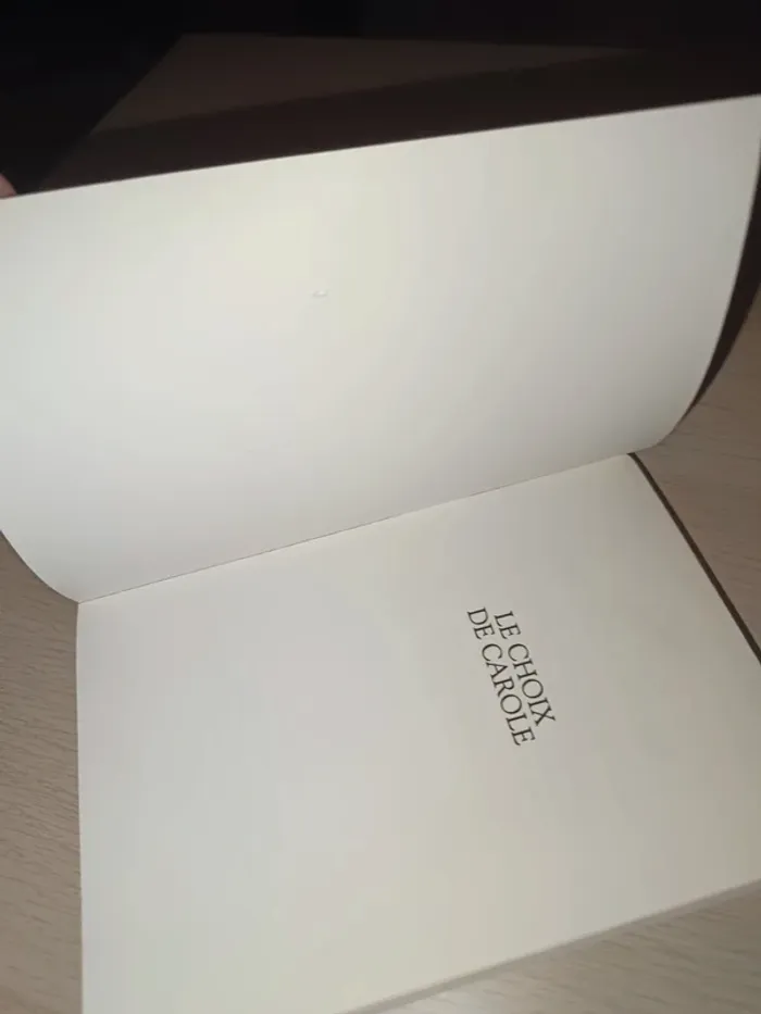 Grand galop-le choix de Carole - photo numéro 4