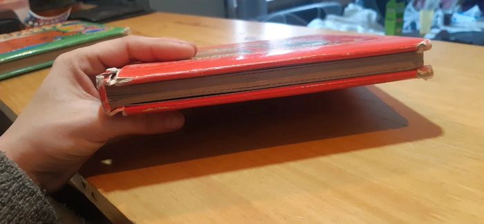 Livre Les animaux familiers - photo numéro 5