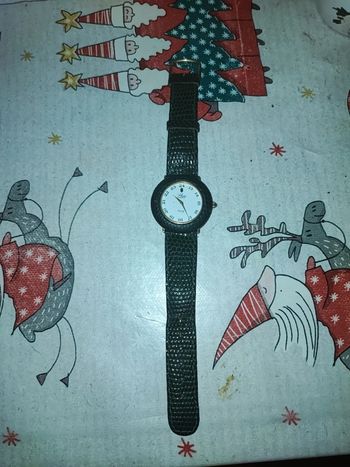 Montre Slava précision