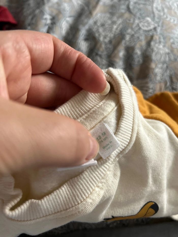 Pull Simba - photo numéro 3