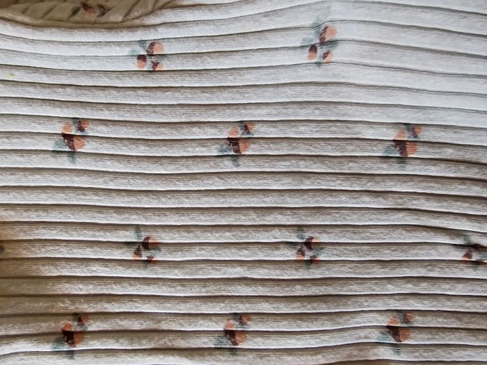 Body manches longues motifs noisettes Kiabi - 1 mois - photo numéro 2
