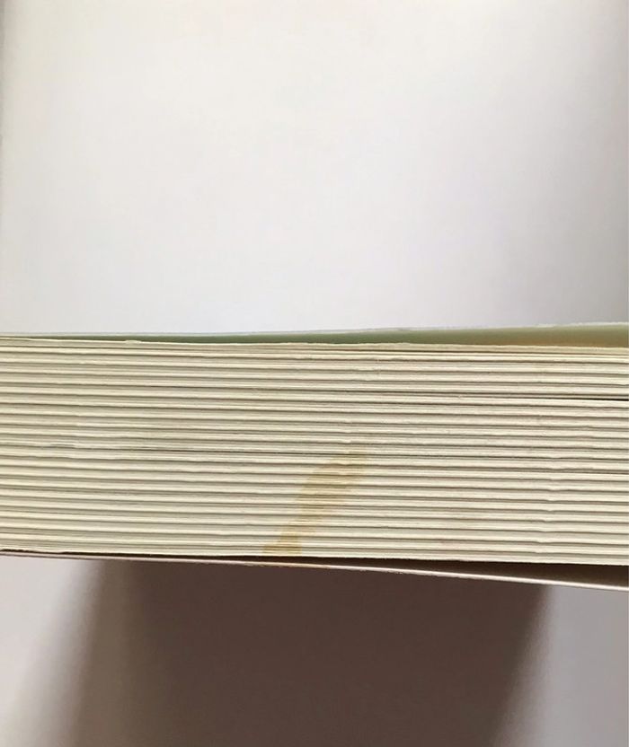 Livre « Vacances indiennes » de William Sutcliffe - photo numéro 3