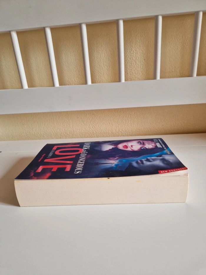 Livre romance fantastique - photo numéro 5