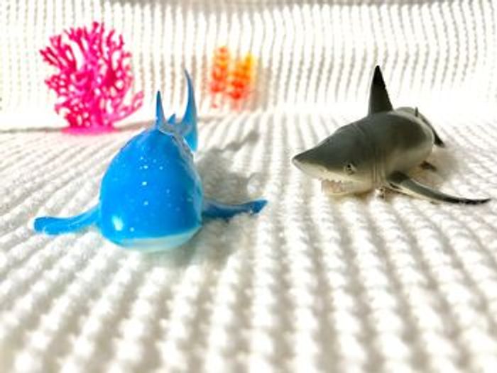 Crabe, requin, tortue, cage, hippocampe, algue, calamar. - photo numéro 8