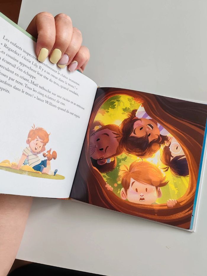 Livre Merveilles de France - photo numéro 4