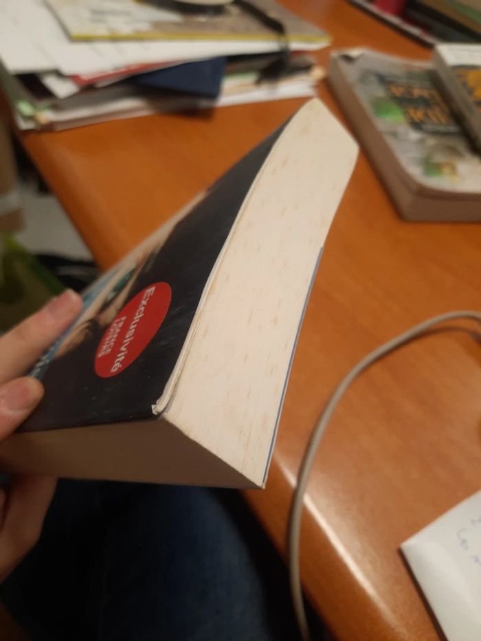 Livre bourdin - photo numéro 6