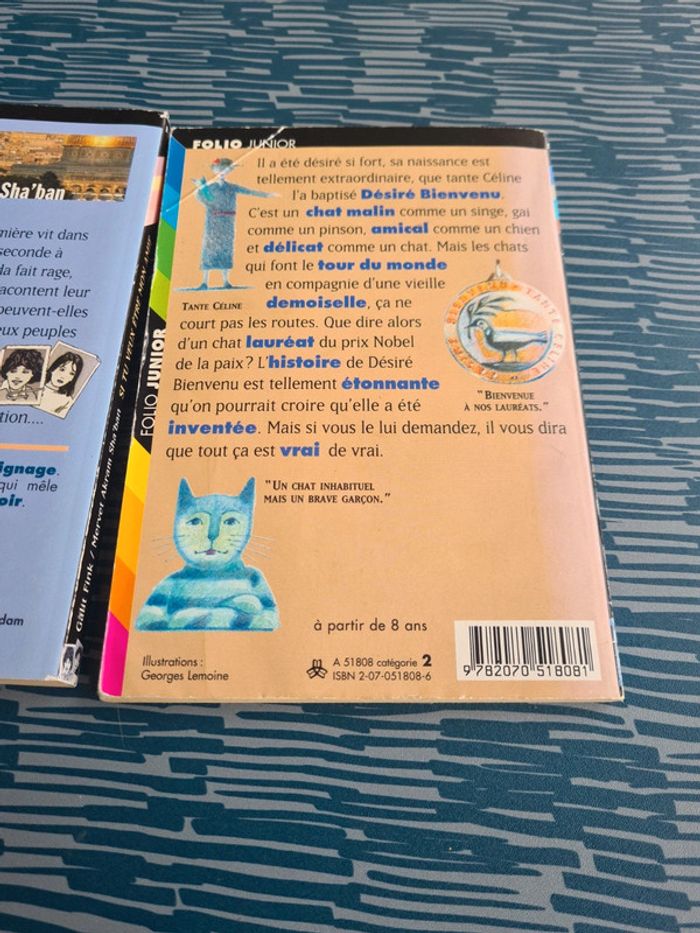 Romans jeunesse - photo numéro 5