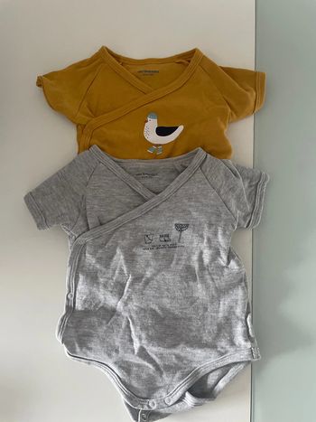 Lot 2 bodies