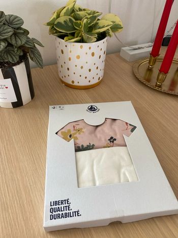 Lot de deux teeshirt neufs petit bateau