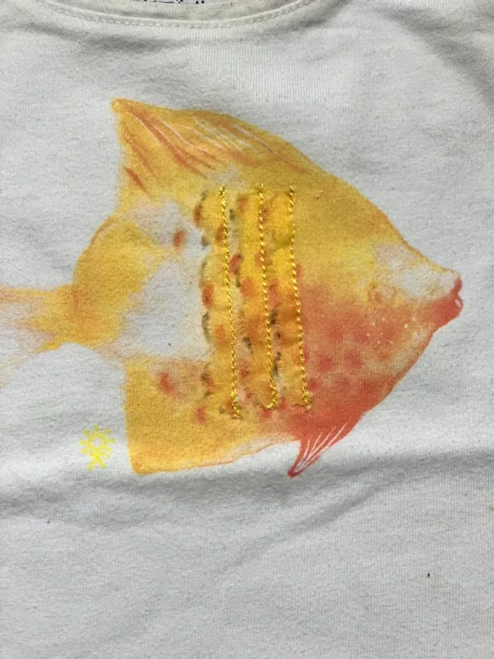 Lot de 11 tee-shirts MC taille 24 mois - photo numéro 7