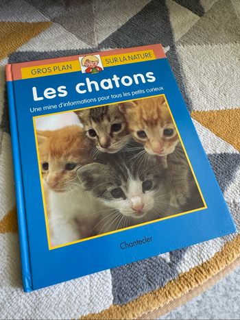 Livre « les chatons »📚