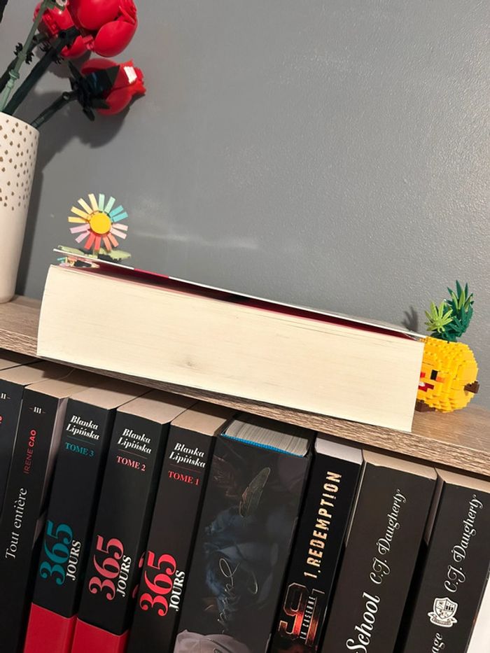 Livres irrésistible l'intégrale de Meg Cabot - photo numéro 4