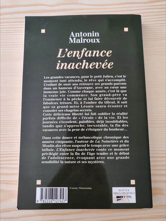 Antonin Malroux 🌸 L'enfance inachevée - photo numéro 2