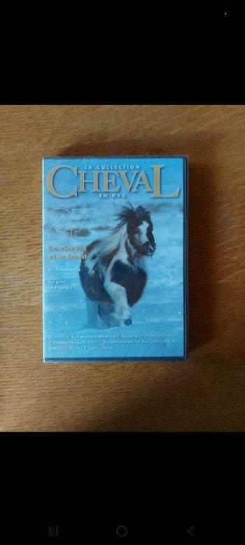 DVD
